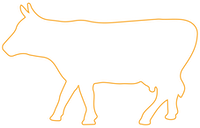 Orange cow icon