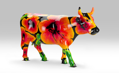 Flower in bloom cow facing right