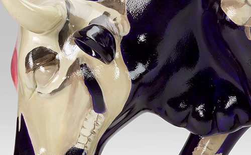 Cow skeleton design close-up