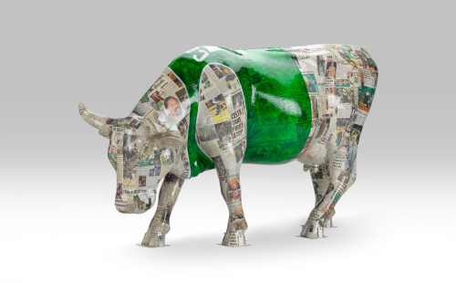 Celtics inspired cow covered in newspaper facing left