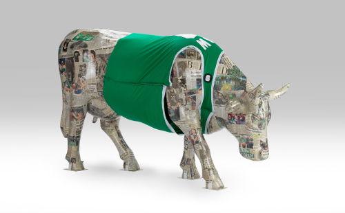 Celtics inspired cow covered in newspaper facing right