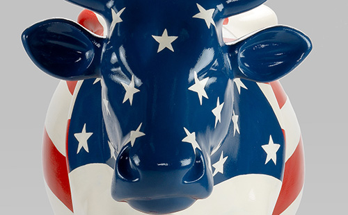 American flag cow close-up