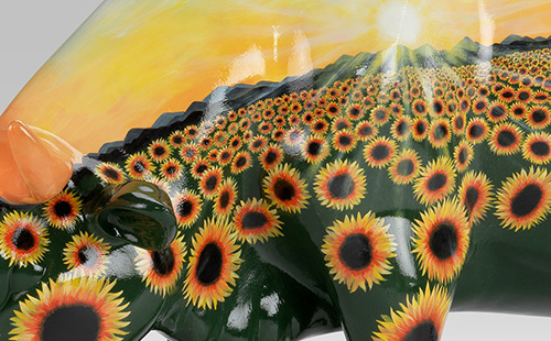 Sunflower and sunset cow close-up