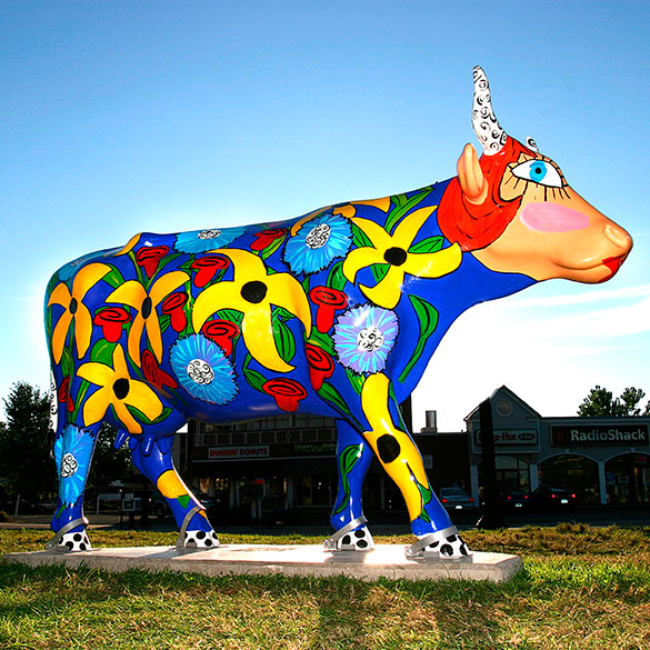 Colorful cow design
