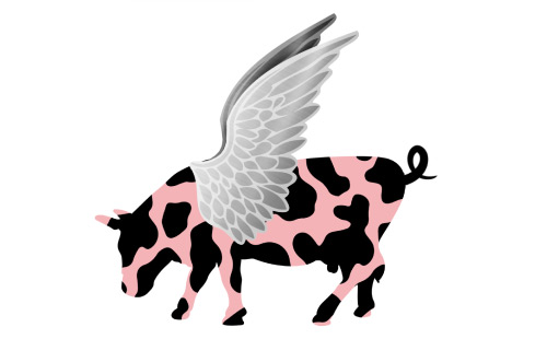 Cow rendering