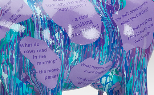 Blue and purple mini cow covered in jokes close-up